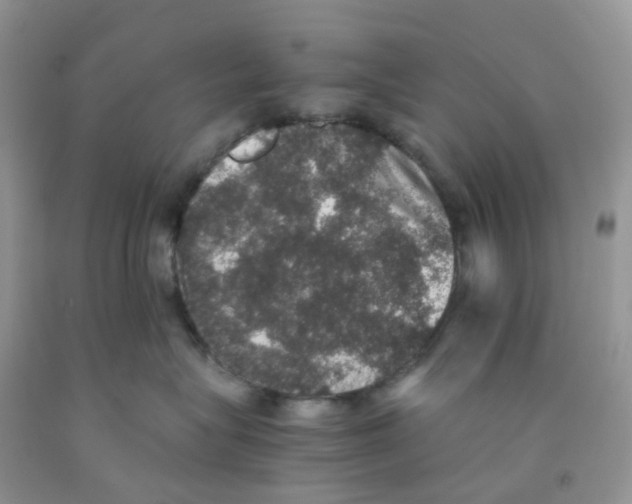 X0000091550575200709141518