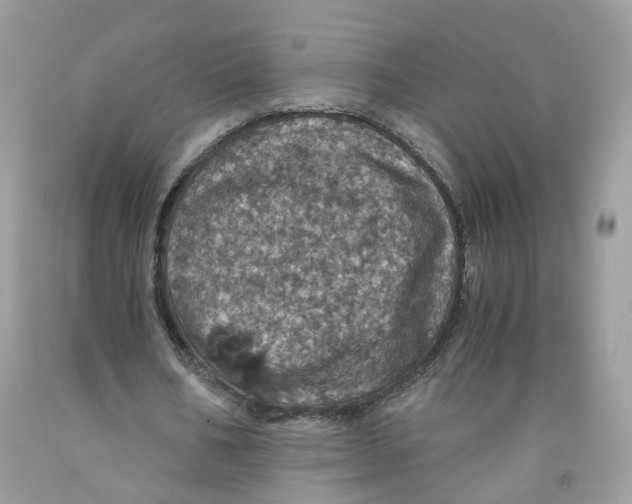 X0000091550578200709141517