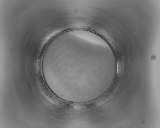 X0000091550579200709141517