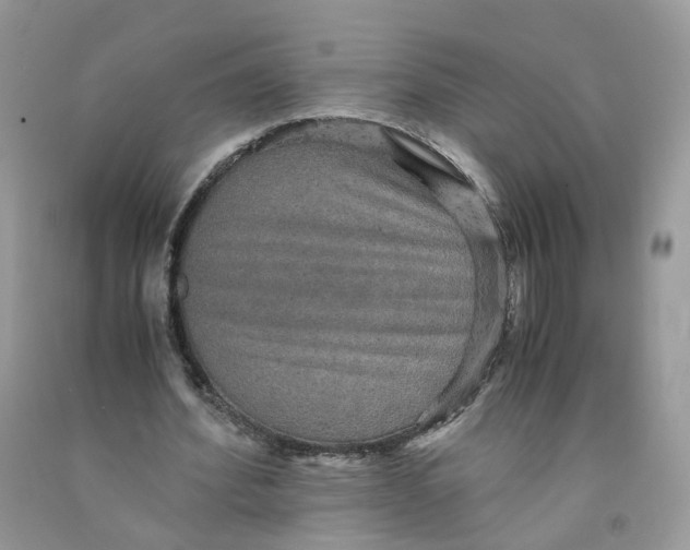 X0000091550580200709141517