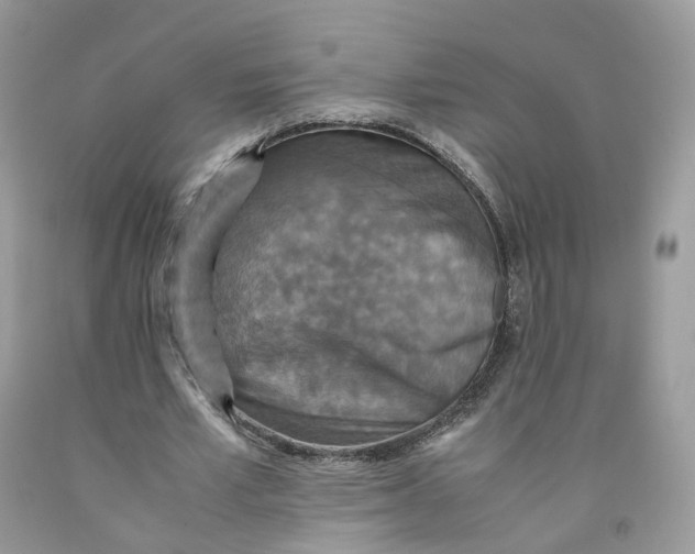 X0000091550581200709141517