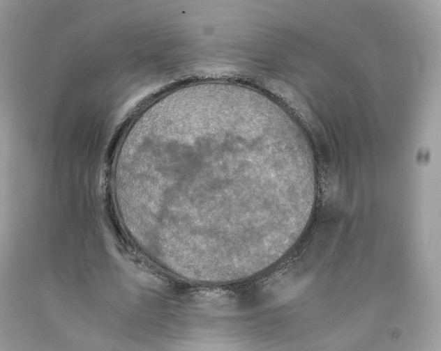 X0000091550583200709141517