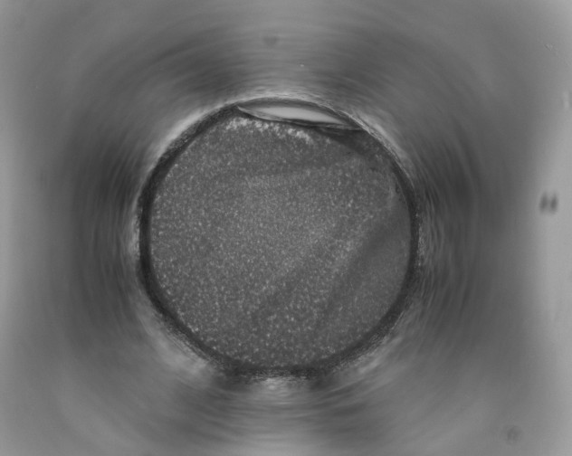 X0000091550584200709141517