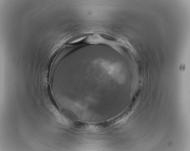 X0000091550585200709141517