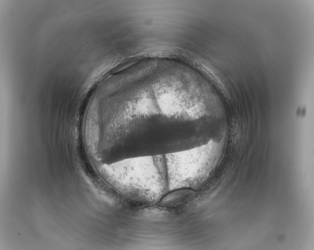 X0000091550586200709141517