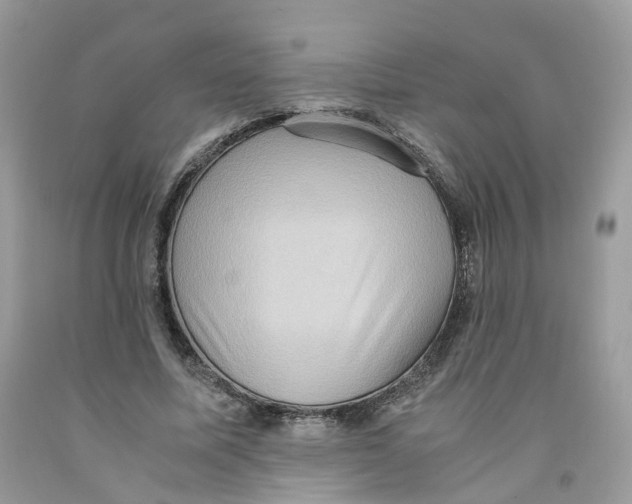 X0000091550587200709141517