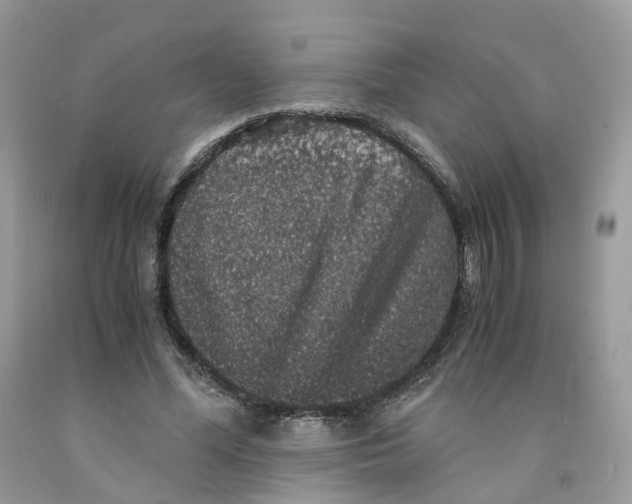 X0000091550588200709141517