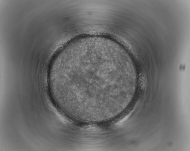 X0000091550589200709141517