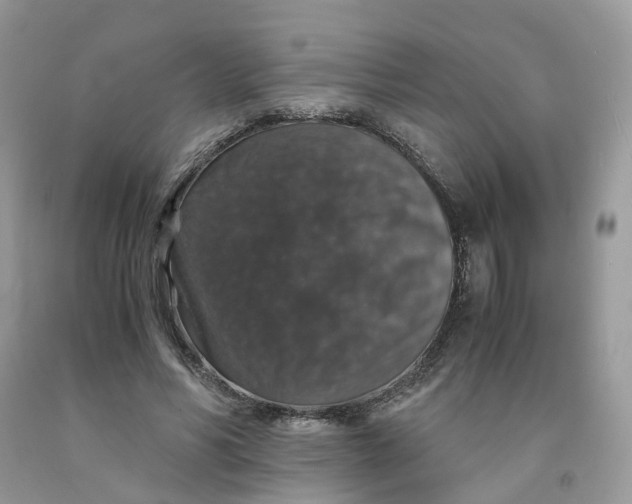 X0000091550590200709141517