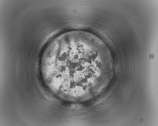 X0000091550591200709141517