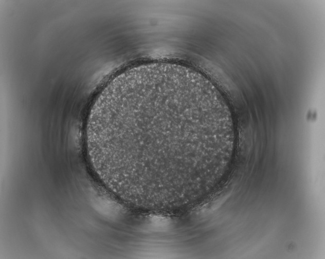 X0000091550592200709141517