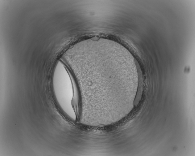 X0000091550593200709141517