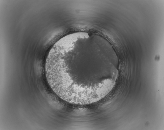 X0000091550594200709141517