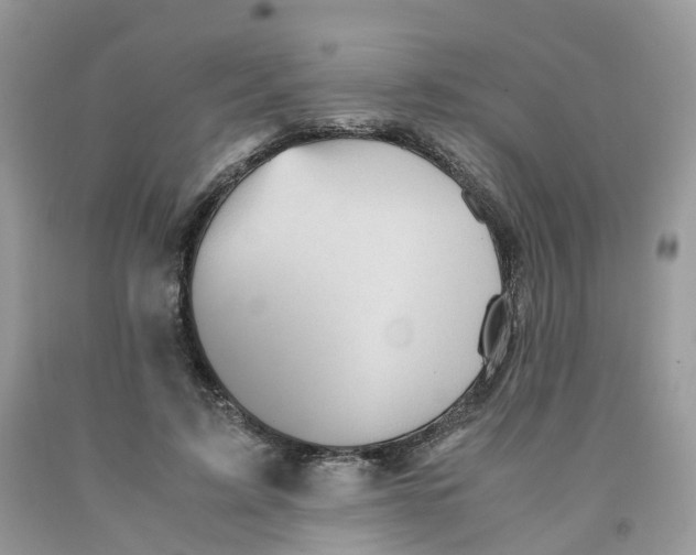 X0000091550595200709141517