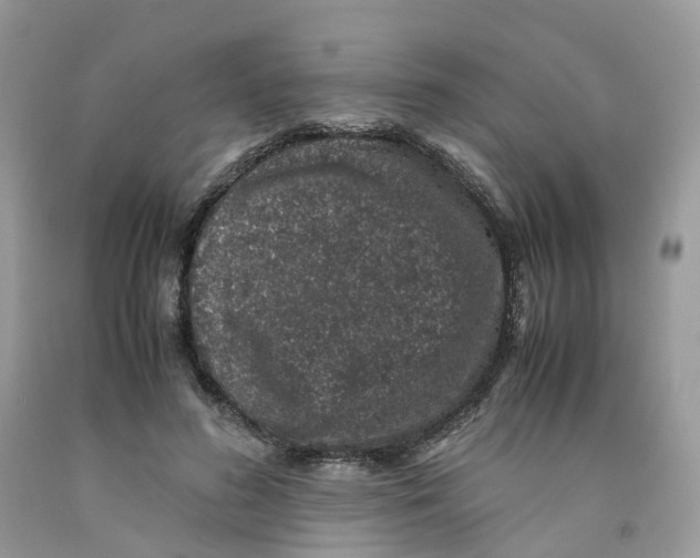 X0000091550596200709141517