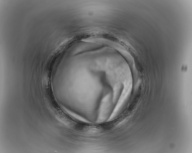 X0000091550597200709141517