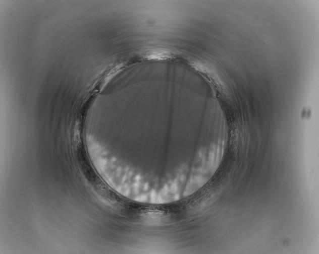 X0000091550598200709141517