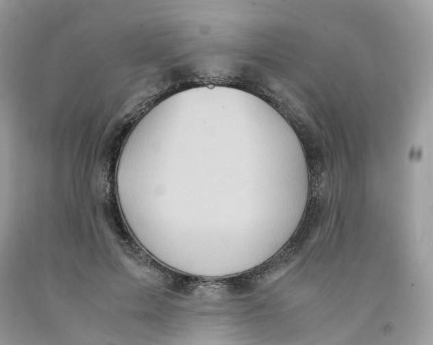 X0000091550599200709141517