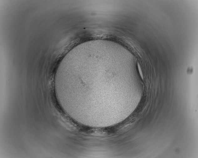 X0000091550601200709141517