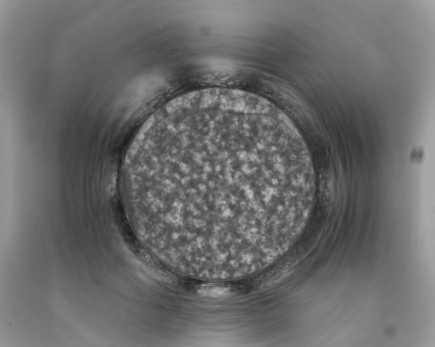 X0000091550602200709141517