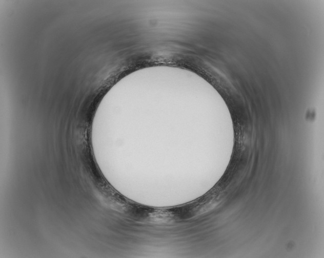 X0000091550603200709141517