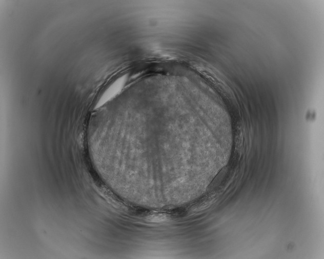 X0000091550604200709141517