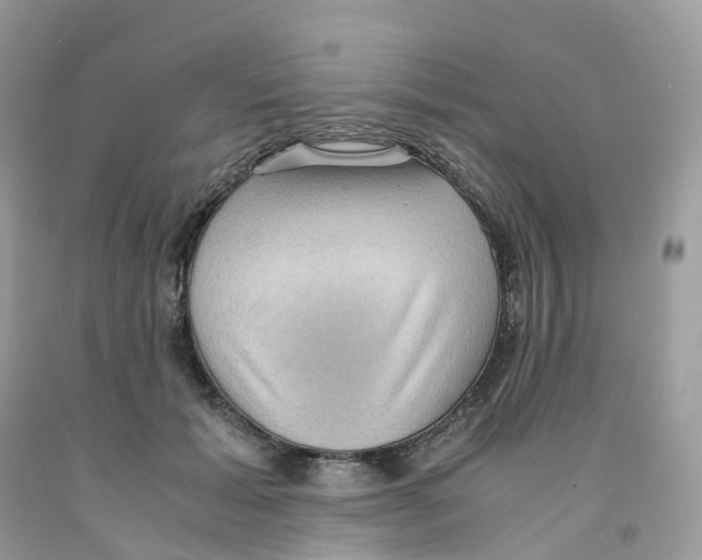 X0000091550605200709141517