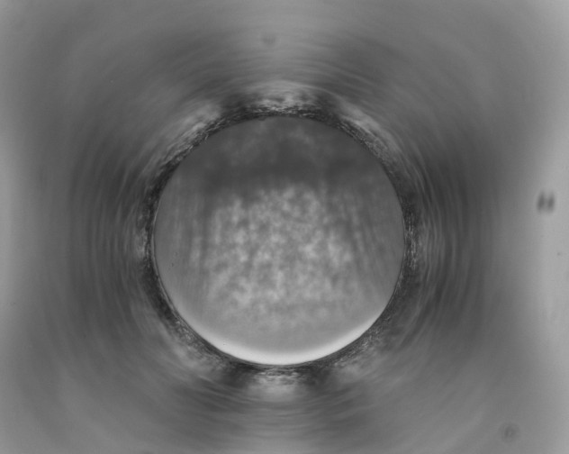 X0000091550606200709141517