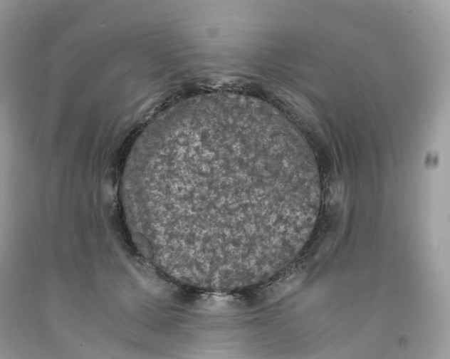 X0000091550607200709141517