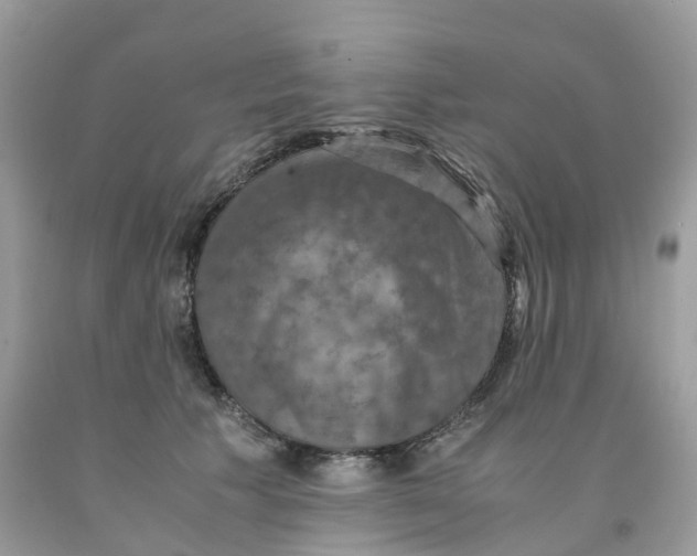 X0000091550609200709141517