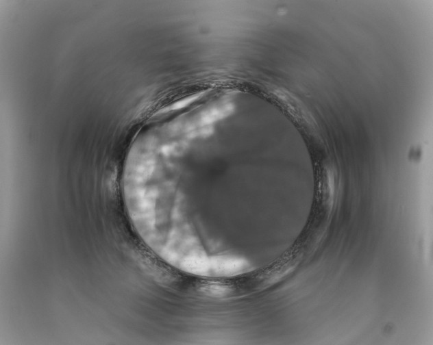 X0000091550610200709141517