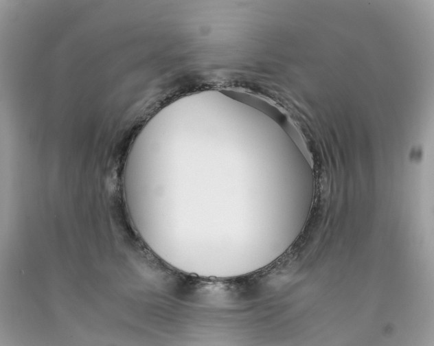 X0000091550611200709141517