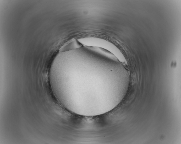 X0000091550613200709141517