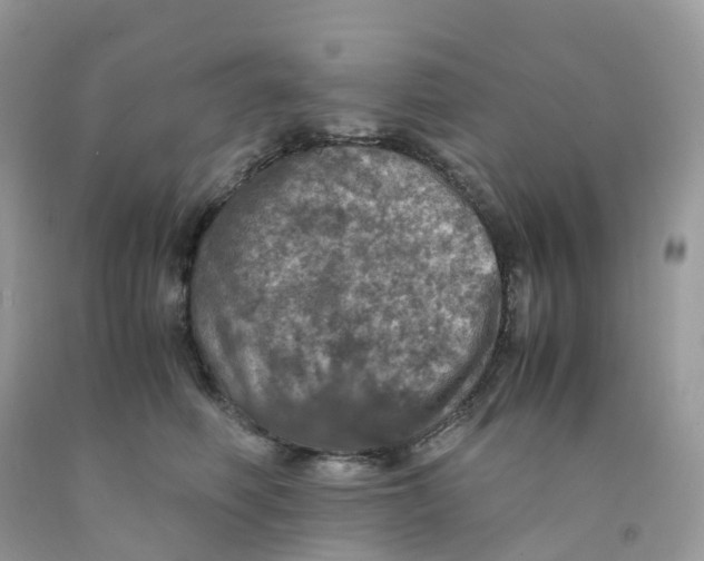 X0000091550614200709141517