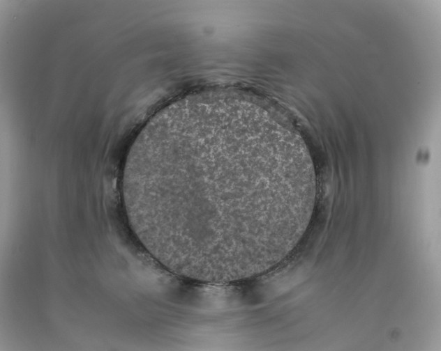 X0000091550615200709141517