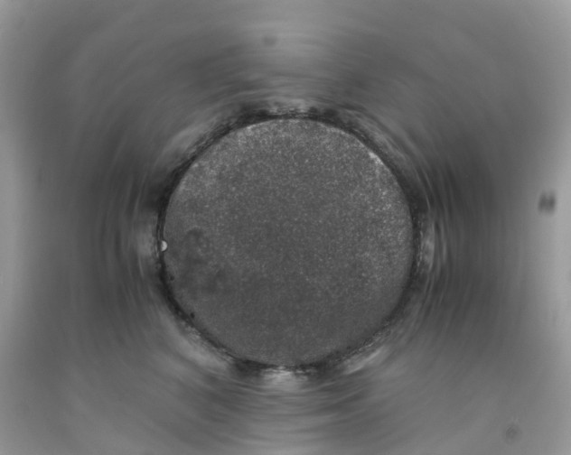 X0000091550616200709141517