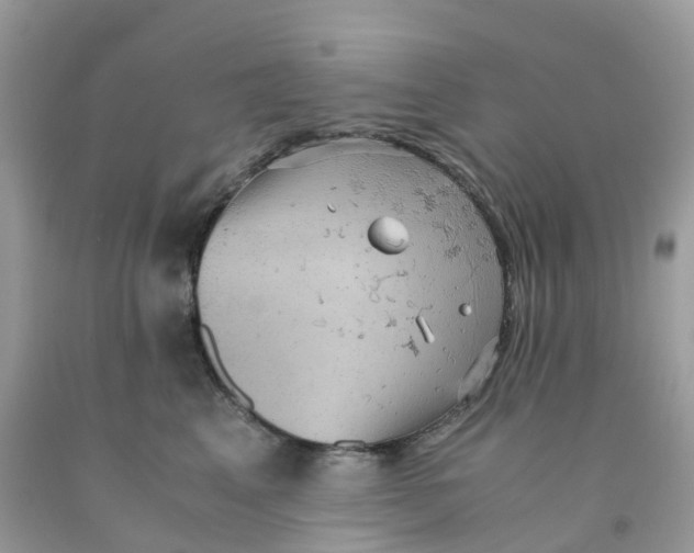 X0000091550617200709141517