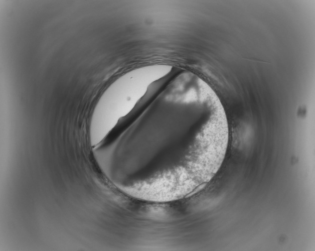 X0000091550618200709141517