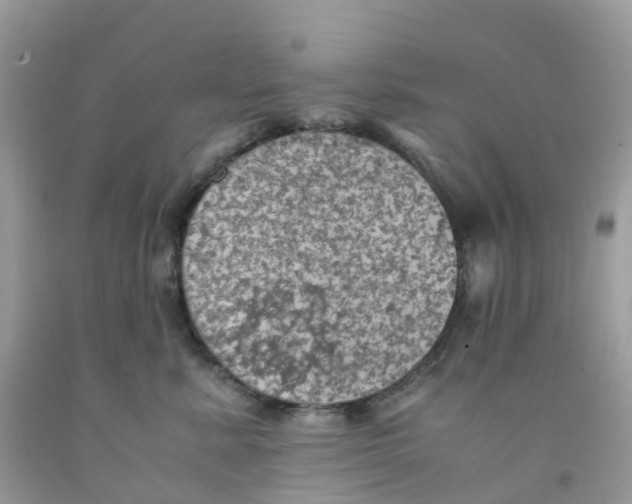 X0000091550619200709141517