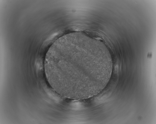 X0000091550620200709141517