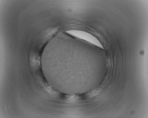 X0000091550621200709141517