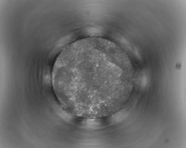 X0000091550622200709141517