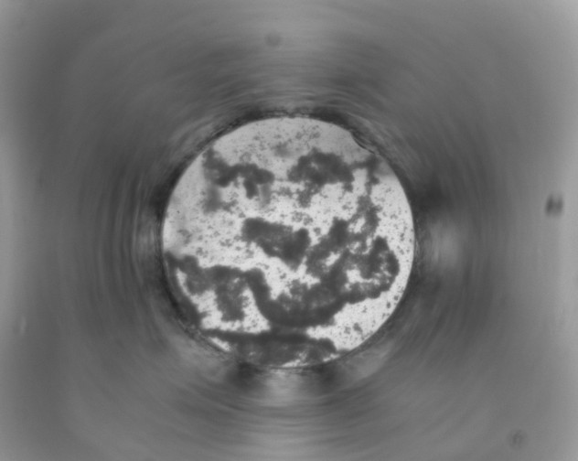 X0000091550623200709141517