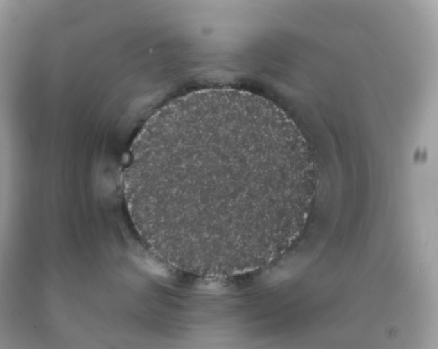 X0000091550624200709141517