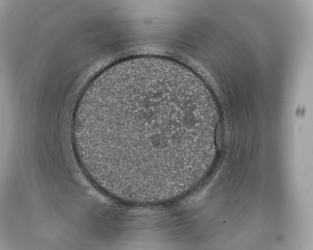 X0000091550625200709141516