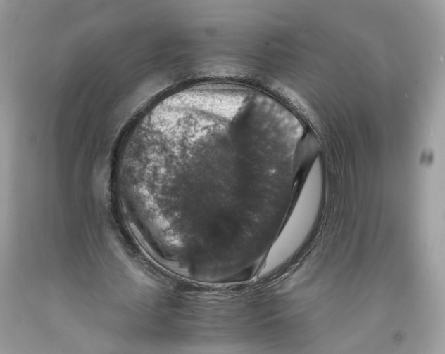 X0000091550627200709141516