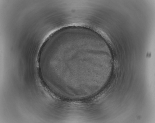 X0000091550628200709141516