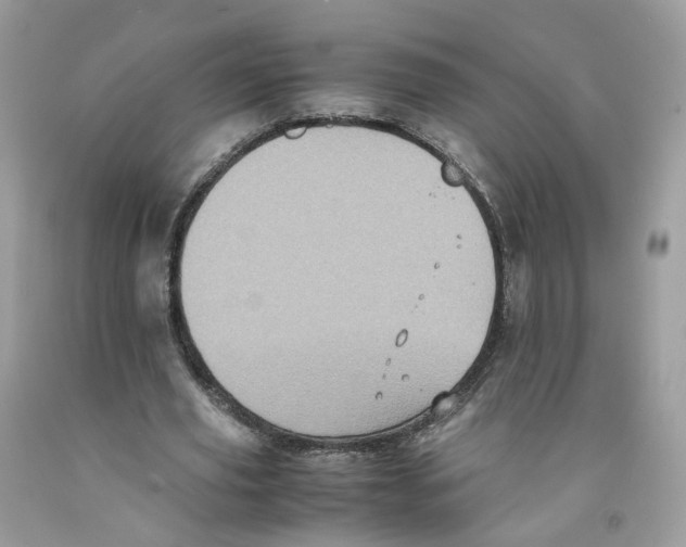 X0000091550629200709141516