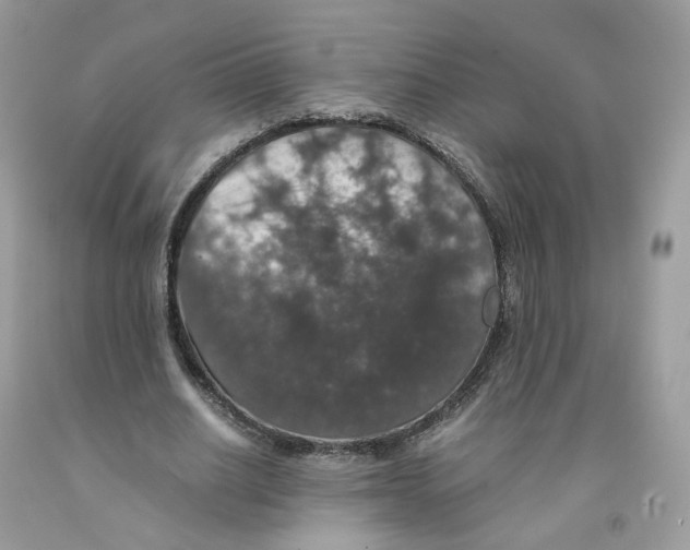 X0000091550630200709141516