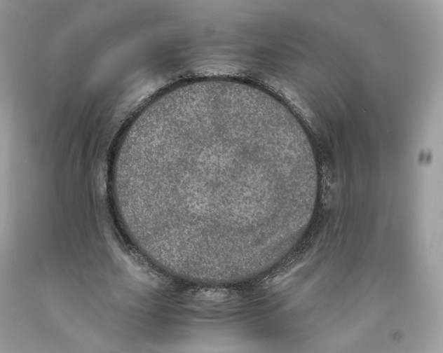 X0000091550631200709141516